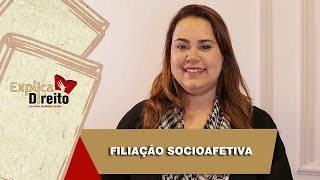 Explica Direito Filiação Socioafetiva  2019 [upl. by Hu272]