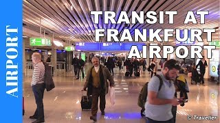 TRANSIT WALK AT FRANKFURT Airport FRA Terminal 1  Connection Flight Transfer Arriving amp Departing [upl. by Nahsin]